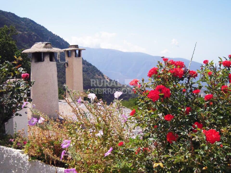 Bonito Apartamento Rural en Bubión, con chimenea - Imagen 8