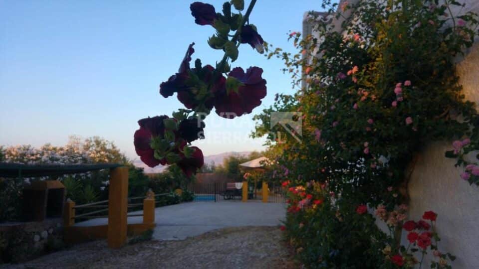 Original y auténtica Casa Rural en Cañete La Real con chimenea y piscina - Imagen 39