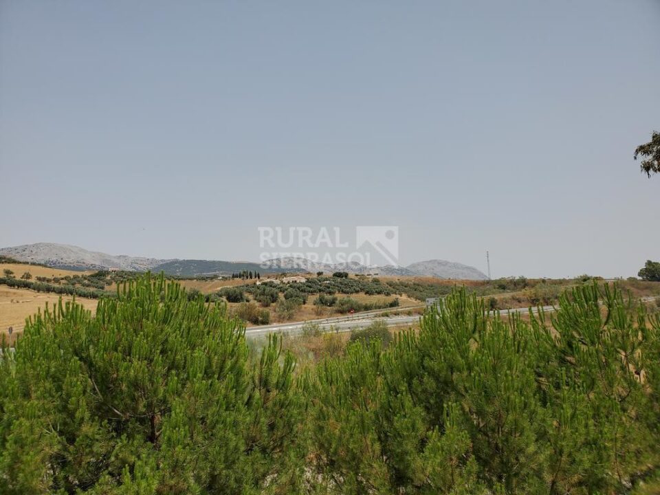 Precioso Hotel Rural en Colmenar, con bonitas vistas al campo - Imagen 39