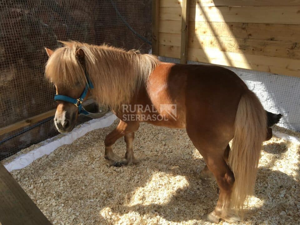 Maravillosa Casa Rural a 15 minutos de Málaga Capital - Imagen 35