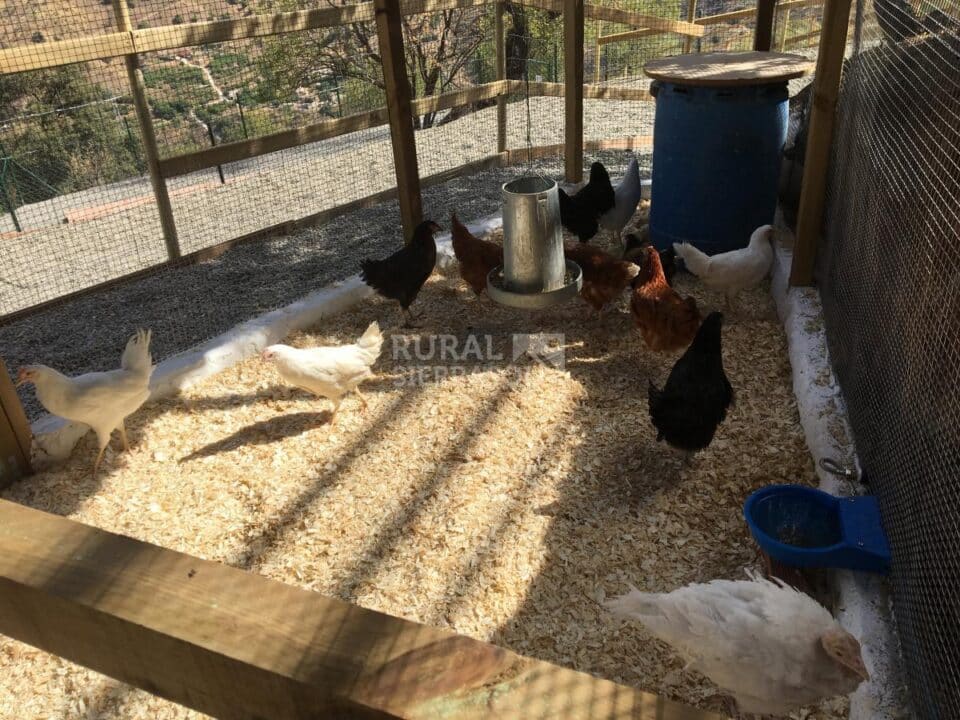 Maravillosa Casa Rural a 15 minutos de Málaga Capital - Imagen 36