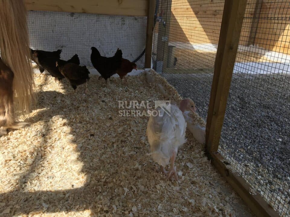 Maravillosa Casa Rural a 15 minutos de Málaga Capital - Imagen 37
