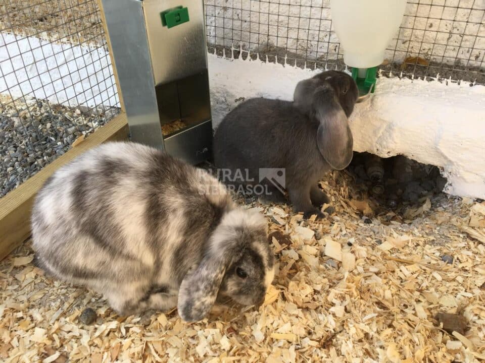 Maravillosa Casa Rural a 15 minutos de Málaga Capital - Imagen 38