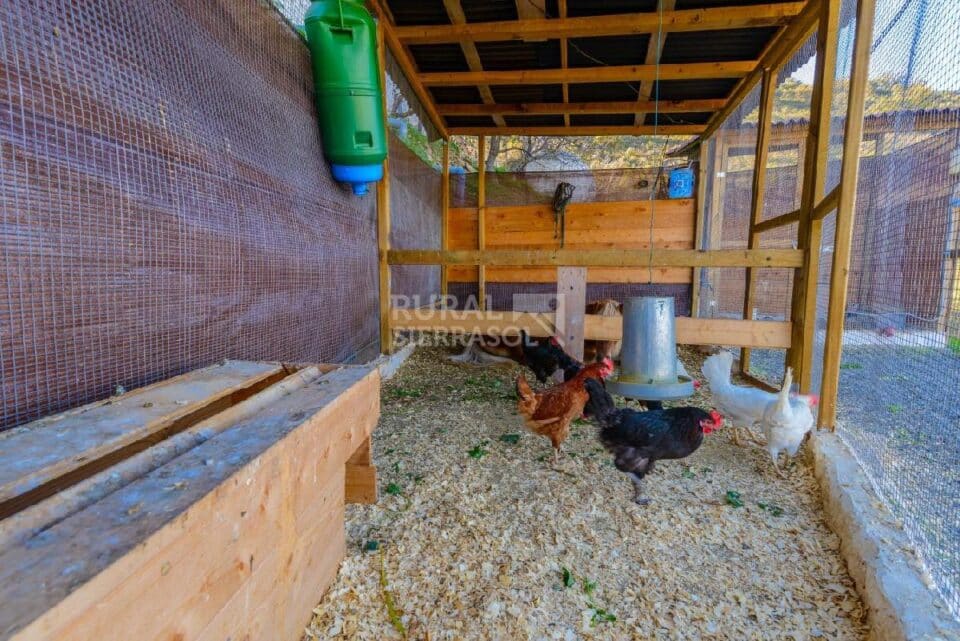 Maravillosa Casa Rural a 15 minutos de Málaga Capital - Imagen 65