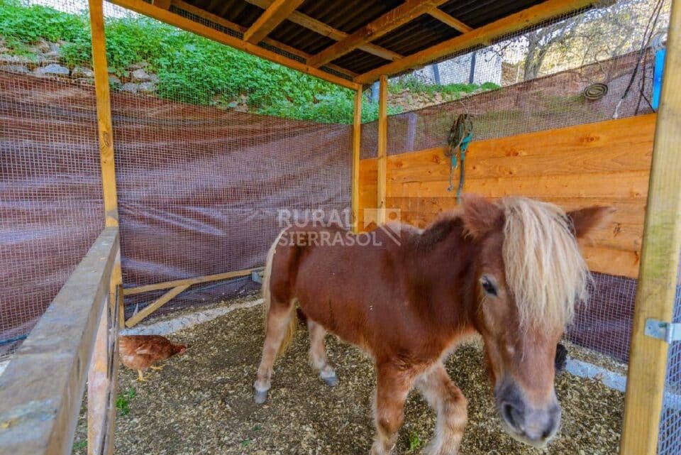 Maravillosa Casa Rural a 15 minutos de Málaga Capital - Imagen 66