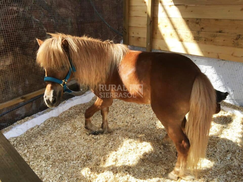 Espléndida Casa Rural en Málaga, junto al Parque Natural Montes de Málaga - Imagen 35