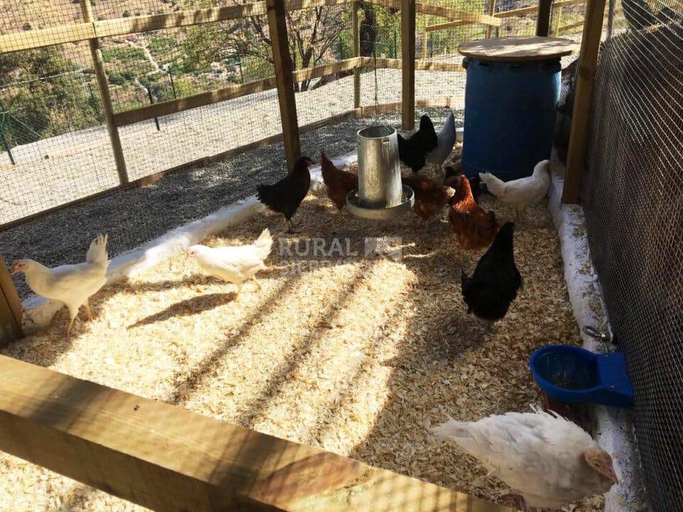 Espléndida Casa Rural en Málaga, junto al Parque Natural Montes de Málaga - Imagen 37