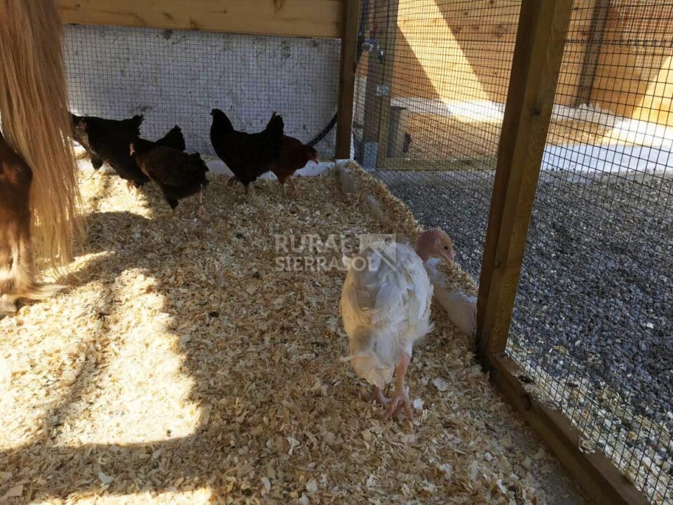 Espléndida Casa Rural en Málaga, junto al Parque Natural Montes de Málaga - Imagen 38