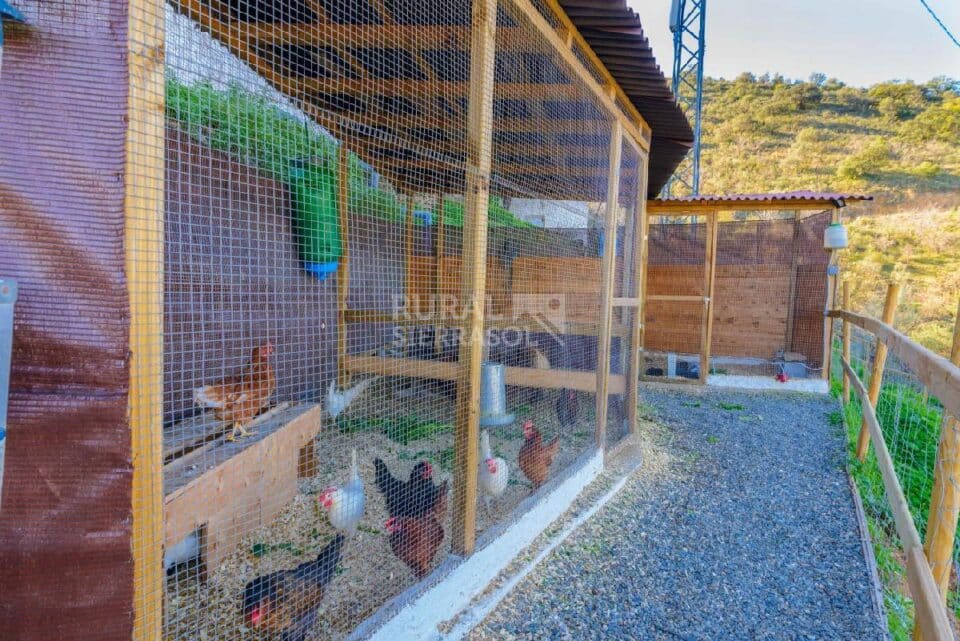 Espléndida Casa Rural en Málaga, junto al Parque Natural Montes de Málaga - Imagen 72