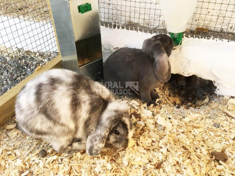 Coqueta Casa Rural a 15 minutos de Málaga - Imagen 49
