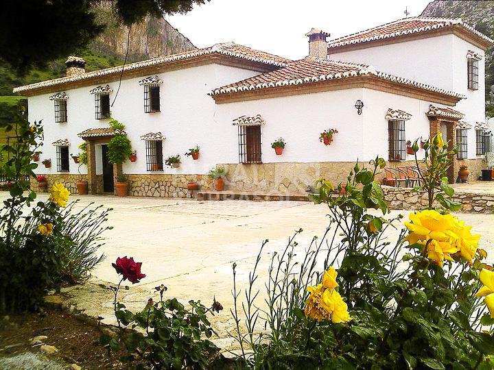 Terraza y fachada de Casa rural en Alfarnate (Málaga)-3954