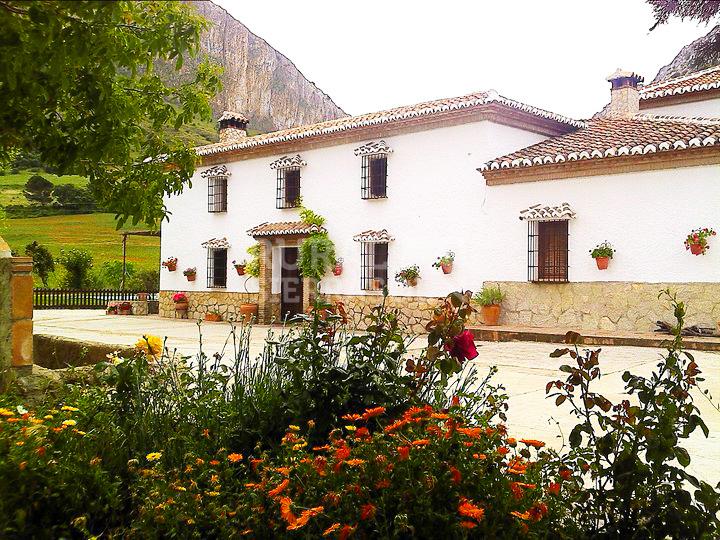 Terraza y jardín de Casa rural en Alfarnate (Málaga)-3954