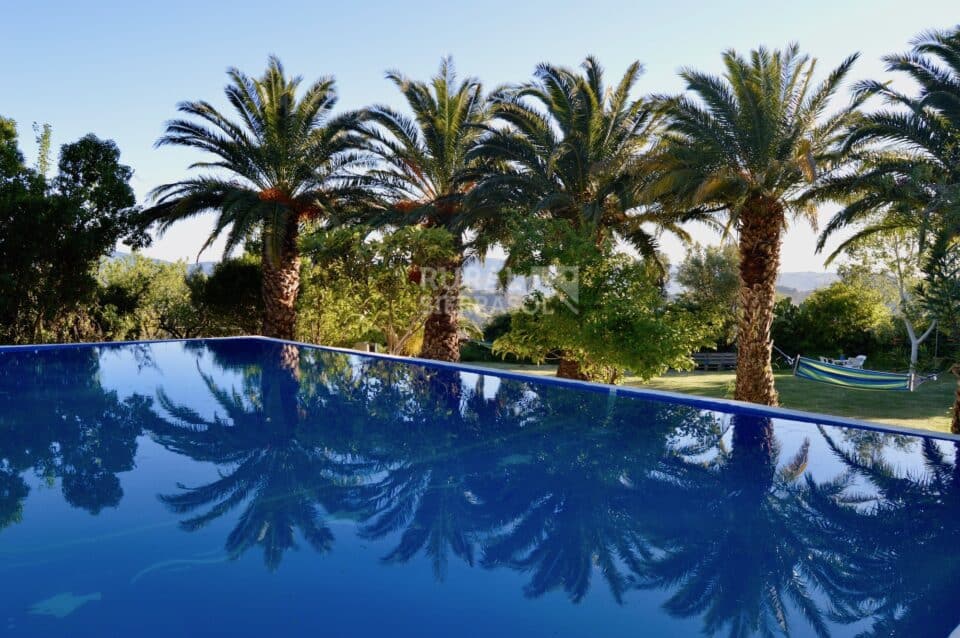 Piscina y palmeras de Casa rural en Alfarnatejo (Málaga)-1100