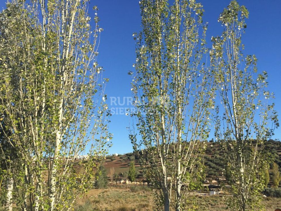 Precioso Hotel Rural en Colmenar, con bonitas vistas al campo - Imagen 40
