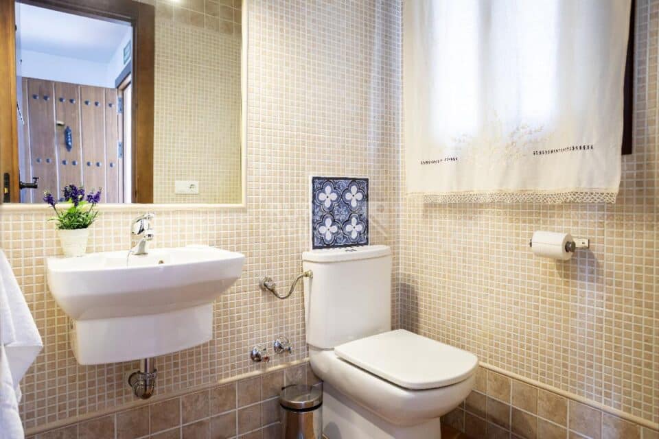 Lavabo y sanitario de baño de Casa rural en Alcaucín (Málaga)-4035