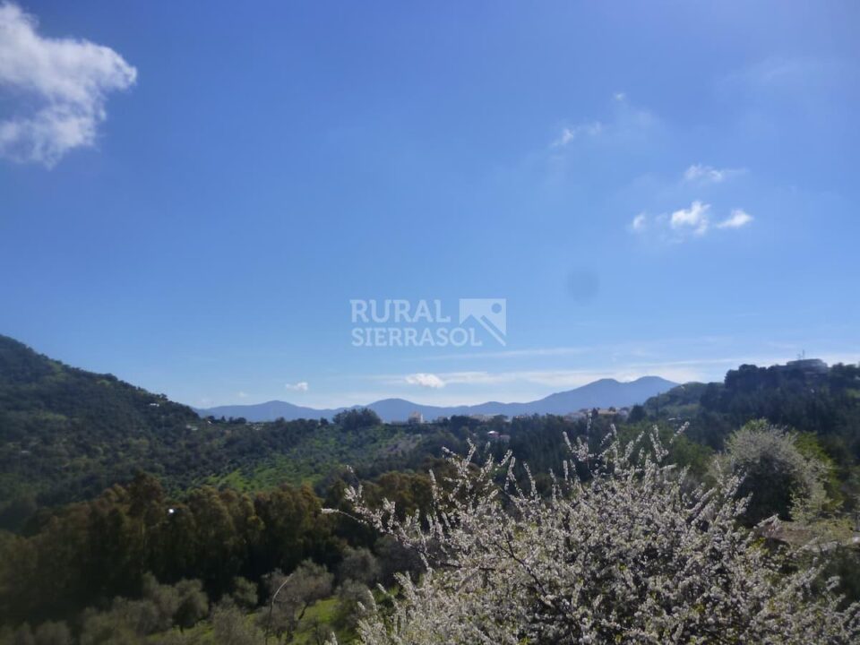 Maravillosa Villa en Gaucín, con piscina y gran jardín - Imagen 37