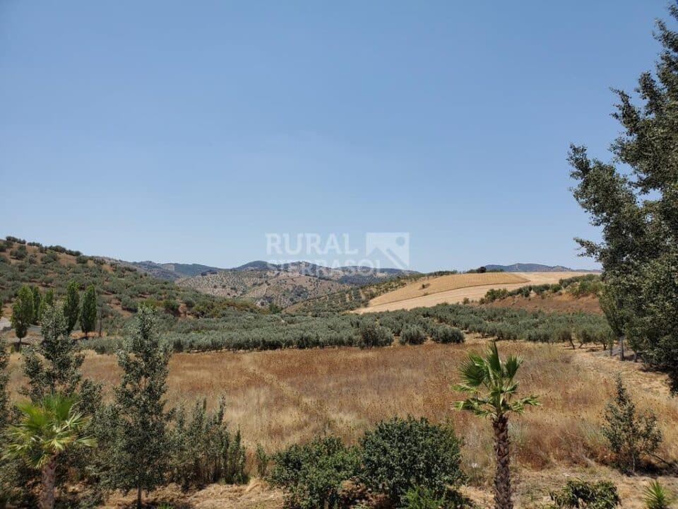Precioso Hotel Rural en Colmenar, con bonitas vistas al campo - Imagen 41
