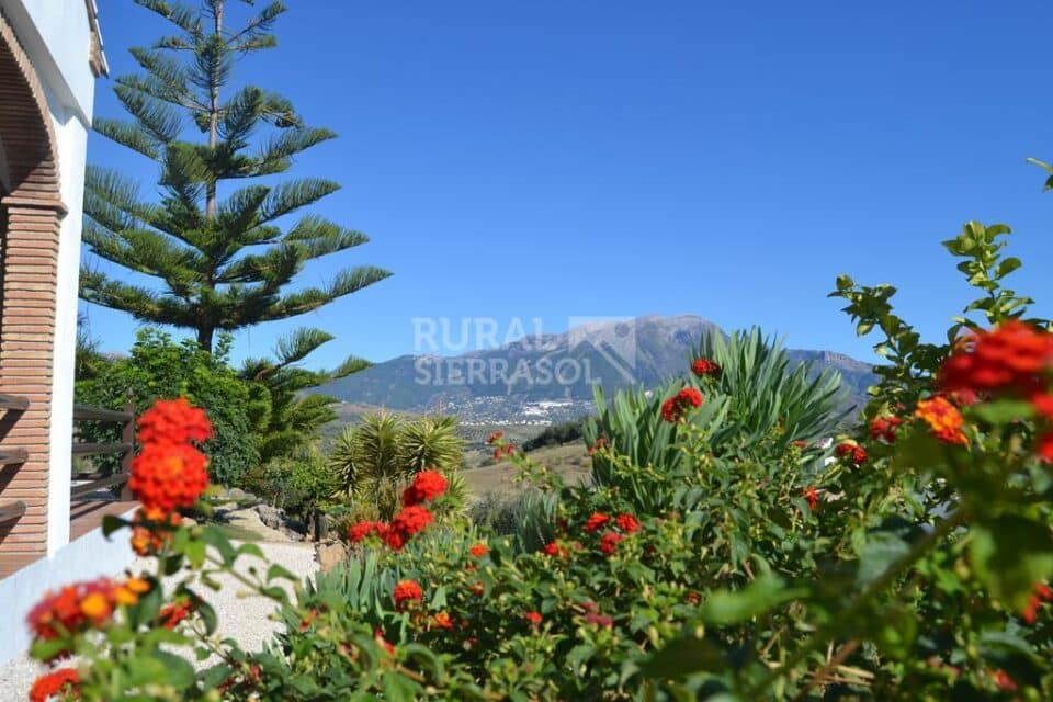 Conjunto de siete Casas Rurales junto al Lago de La Viñuela - Imagen 42