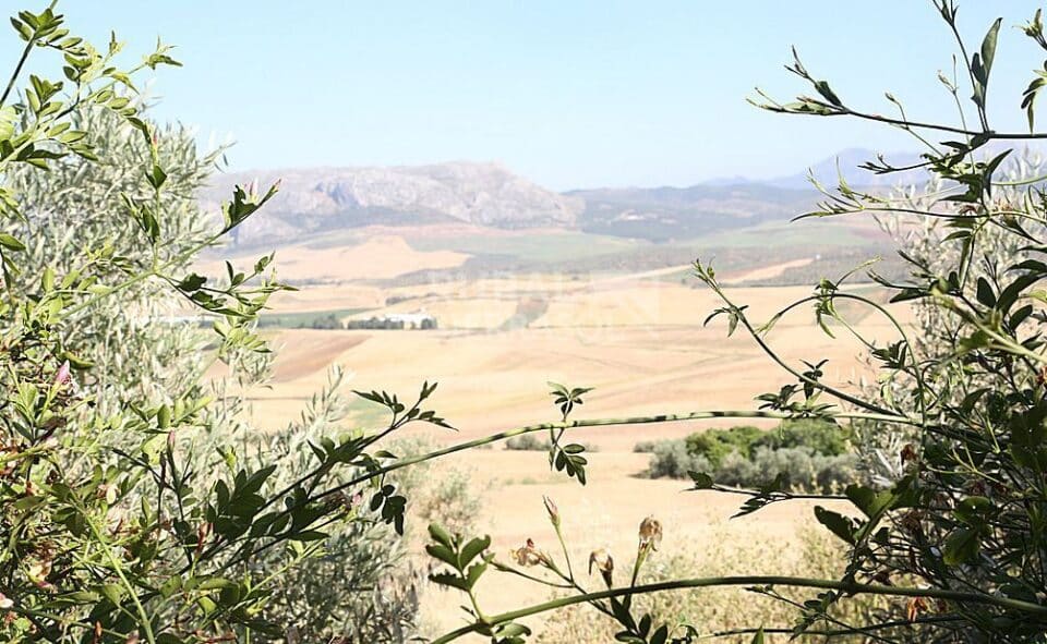Original y auténtica Casa Rural en Cañete La Real con chimenea y piscina - Imagen 43