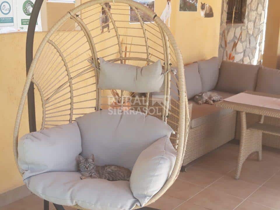 Preciosa vivienda rural en Castril de la Peña, con chimenea y barbacoa - Imagen 45
