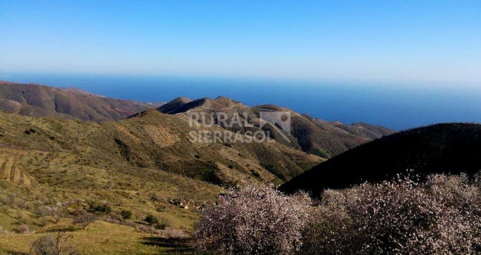 Centenaria Casa Rural a 21 km de la playa - Imagen 58