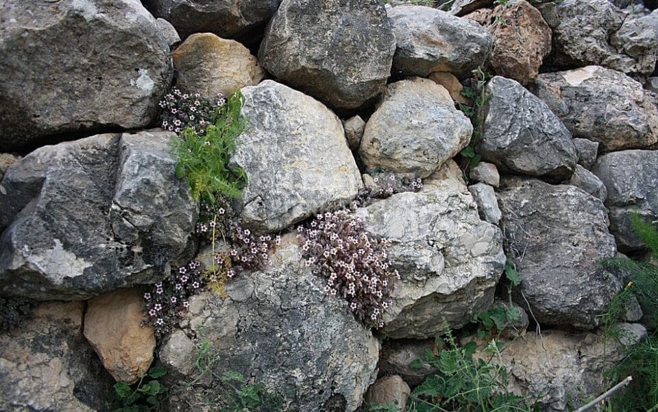 Original y auténtica Casa Rural en Cañete La Real con chimenea y piscina - Imagen 49