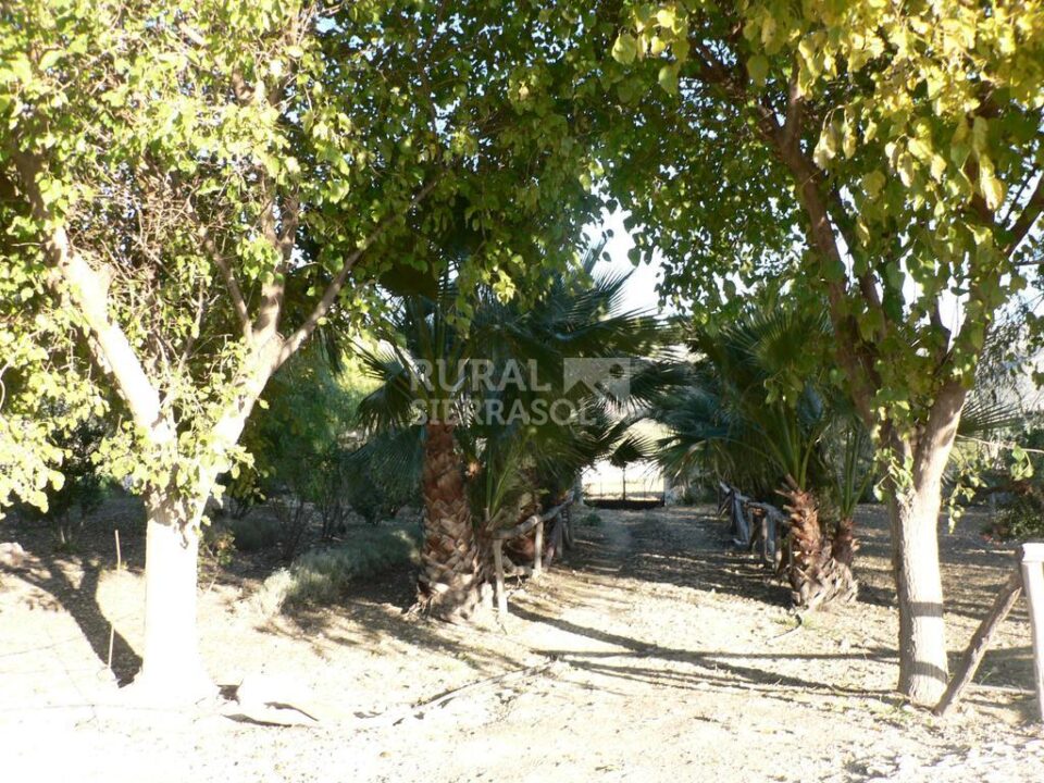Cortijo cerealista del siglo XIX con chimenea, piscina y barbacoa en Cañete la Real - Imagen 54