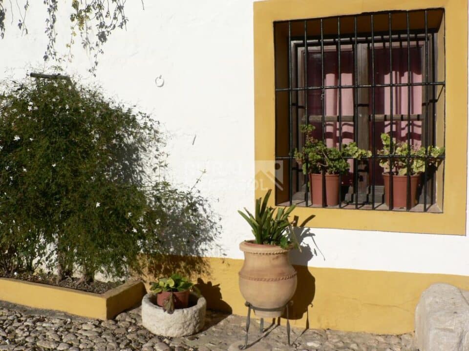 Cortijo cerealista del siglo XIX con chimenea, piscina y barbacoa en Cañete la Real - Imagen 55
