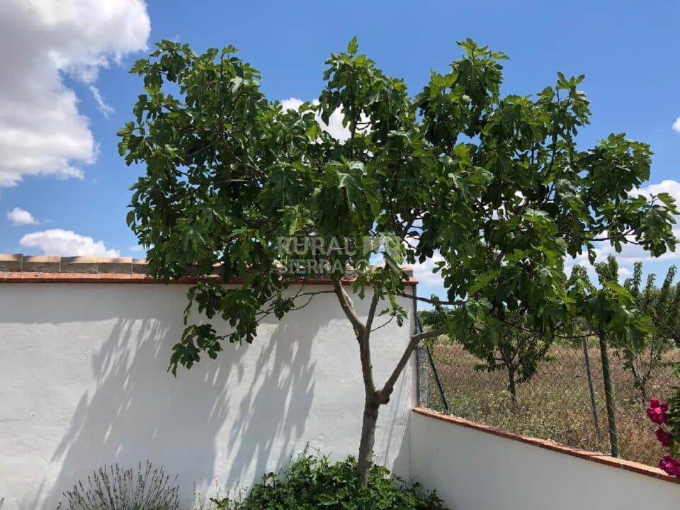Casa Rural junto al Pantano de Bermejales, con piscina y barbacoa - Imagen 49