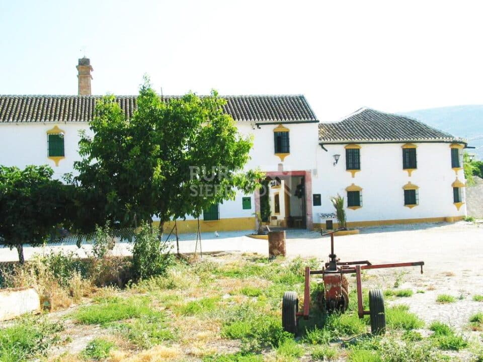 Cortijo cerealista del siglo XIX con chimenea, piscina y barbacoa en Cañete la Real - Imagen 59