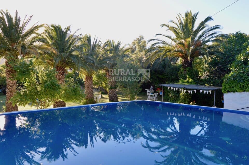 Gran piscina de Casa rural en Alfarnatejo (Málaga)-1100