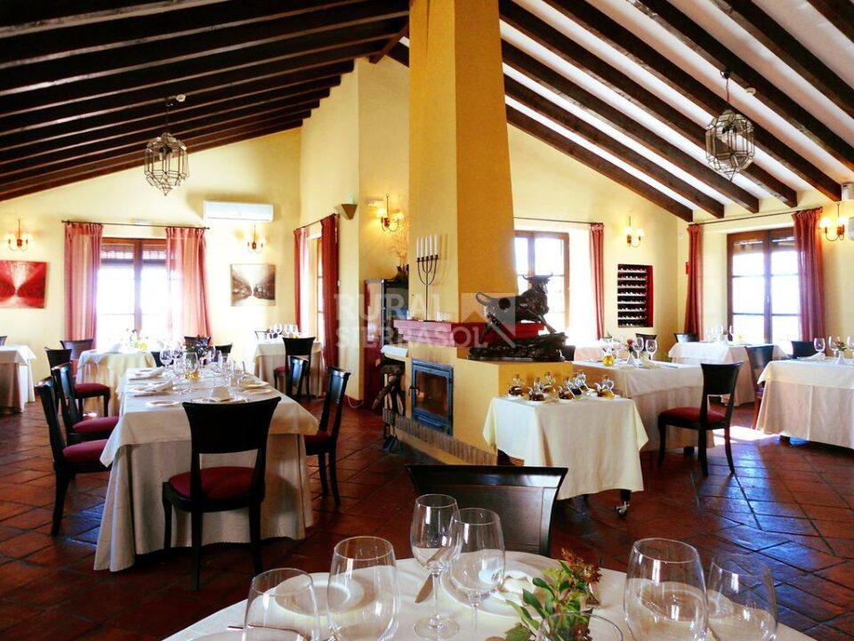 Fantástico Hotel Rural con Spa, al sur del Torcal de Antequera - Imagen 60