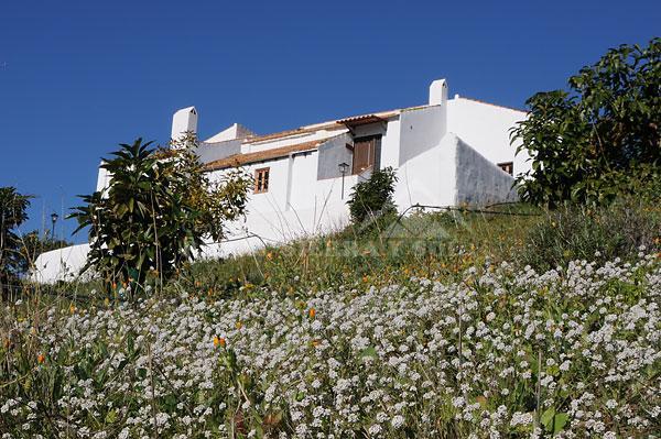 Casa rural en Campanillas (Málaga)-619