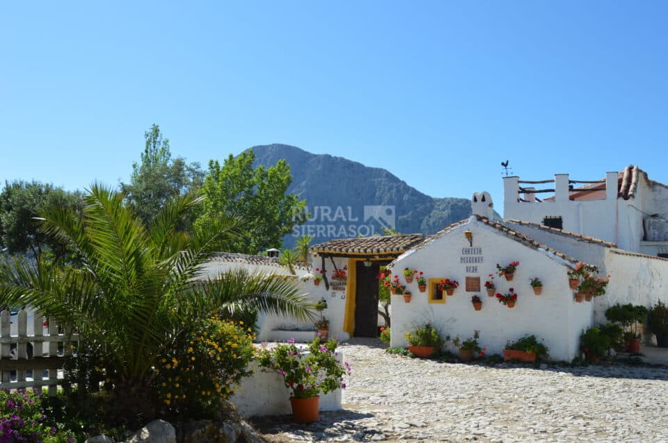 Casa Rural en Alfarnatejo con piscina, barbacoa y gran jardín - Imagen 57
