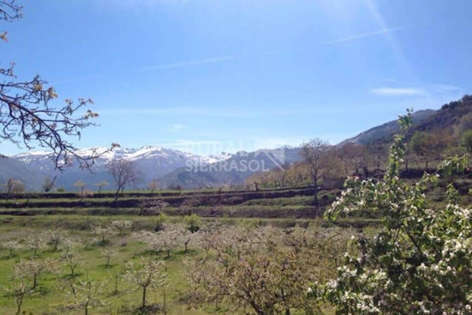Acogedora Casa Rural en Sierra Nevada, con piscina y barbacoa - Imagen 26
