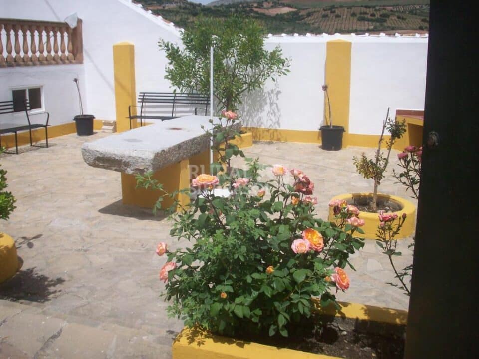 Cortijo cerealista del siglo XIX con chimenea, piscina y barbacoa en Cañete la Real - Imagen 7