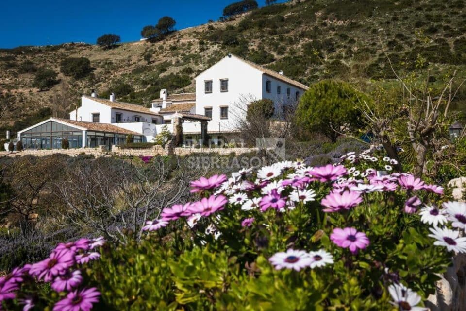 Fantástico Hotel Rural con Spa, al sur del Torcal de Antequera - Imagen 71