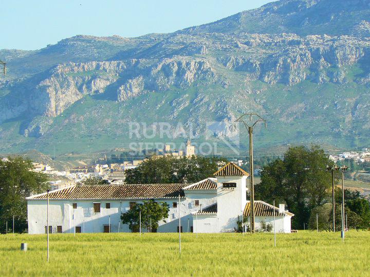 Entorno de Casa rural en El Borge (Málaga)-3551