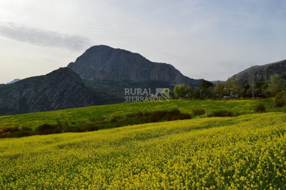 Casa Rural en Alfarnatejo con piscina, barbacoa y gran jardín - Imagen 68