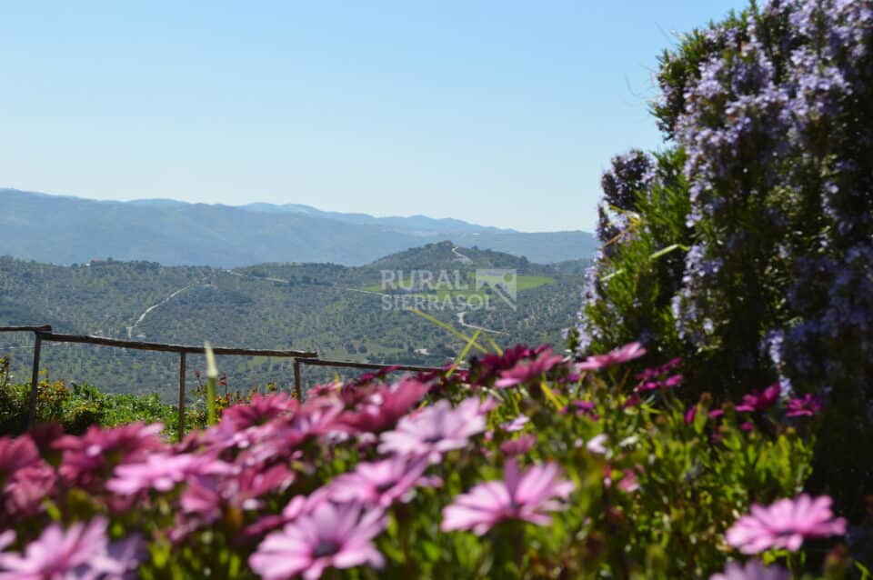 Coqueta Casa Rural en Alfarnatejo con piscina, gran jardín y chimenea - Imagen 56