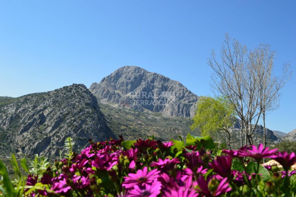 Casa Rural en Alfarnatejo con piscina, barbacoa y gran jardín - Imagen 70