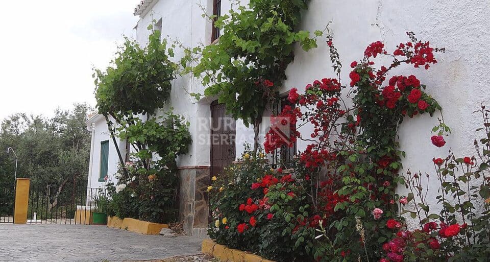 Original y auténtica Casa Rural en Cañete La Real con chimenea y piscina - Imagen 8