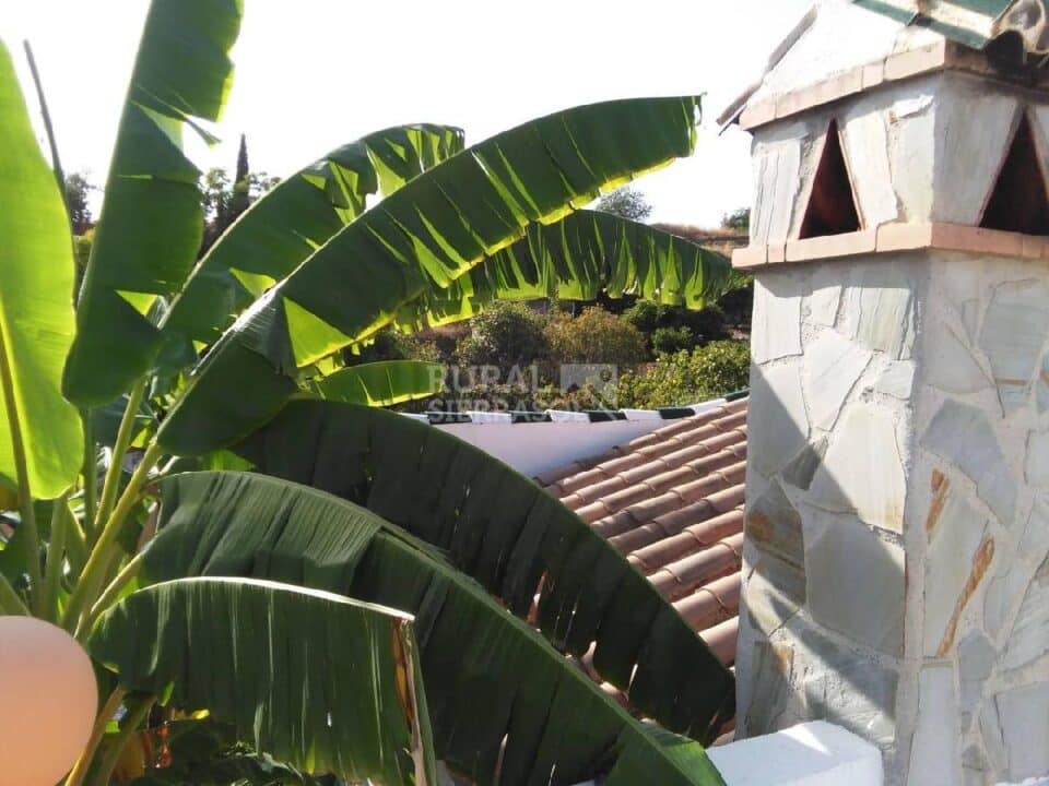 Bonita Villa a 3 km de la playa - Imagen 31