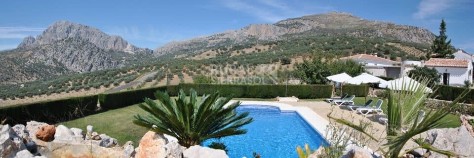 Precioso Alojamiento Rural en Periana con piscina rodeada de césped y wi-fi - Imagen 8