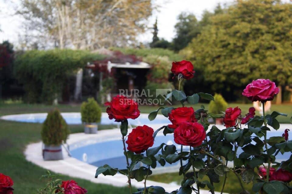 Maravillosa Junior Suite con Jacuzzi, a 15 minutos de Granada - Imagen 22
