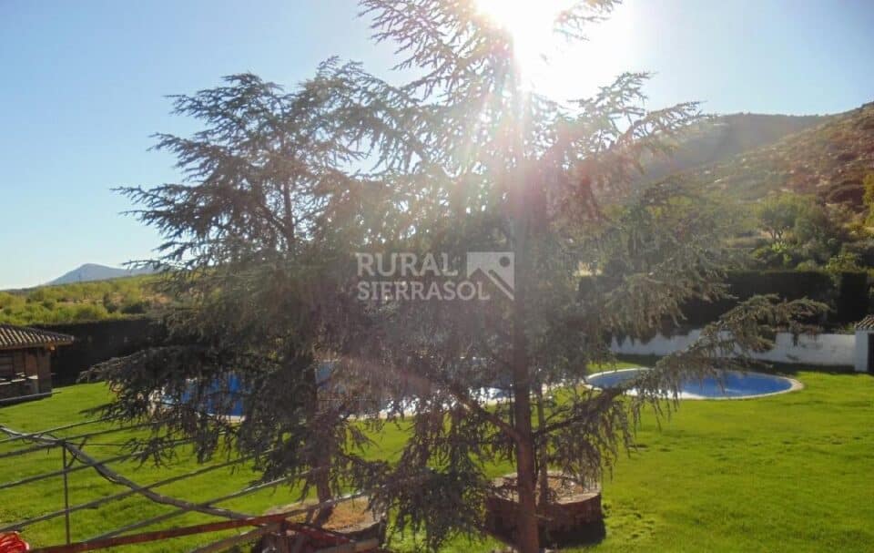 Maravillosa Junior Suite con Jacuzzi, a 15 minutos de Granada - Imagen 25