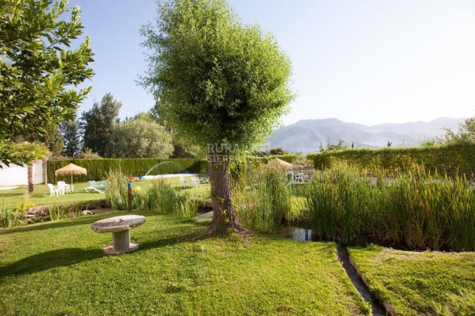 Acogedor Conjunto Rural en Padul, con piscina y barbacoa - Imagen 99