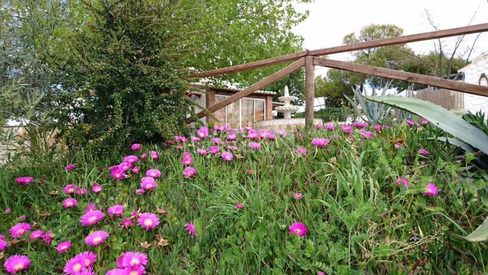 Bonita Villa en Ronda con preciosos jardines y aire acondicionado - Imagen 6