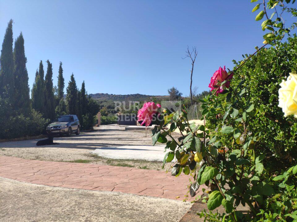 Aparcamiento de casa rural en Periana (Málaga) referencia 1086
