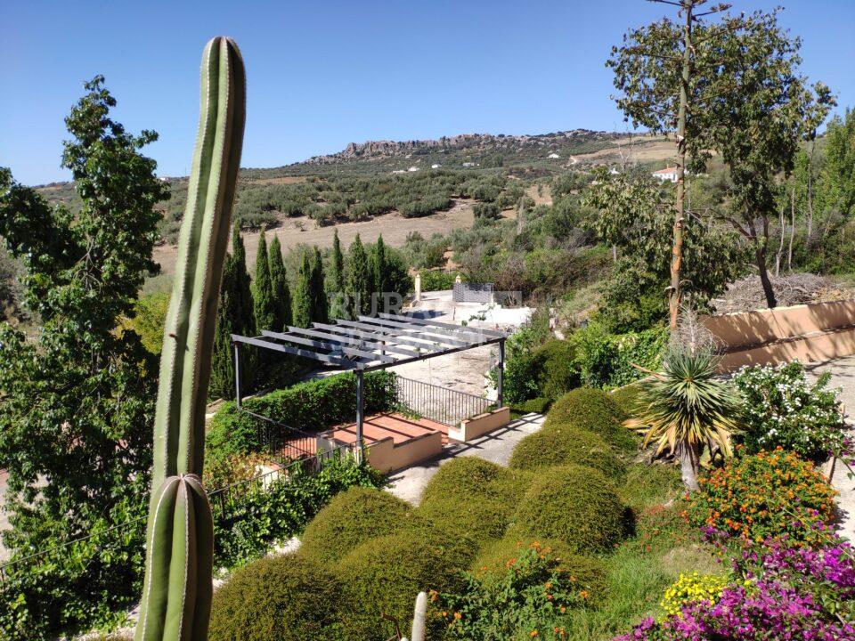 Jardín de casa rural en Periana (Málaga) referencia 0046